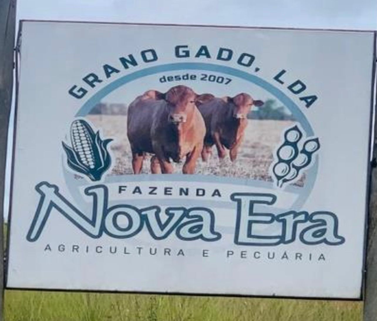 Fazenda Nova Era - Grano Gado, LDA